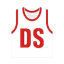 DS logo